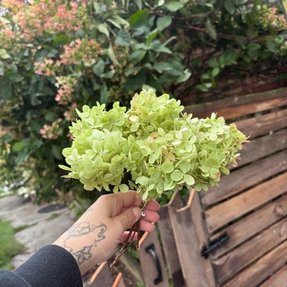 N/A these stunning